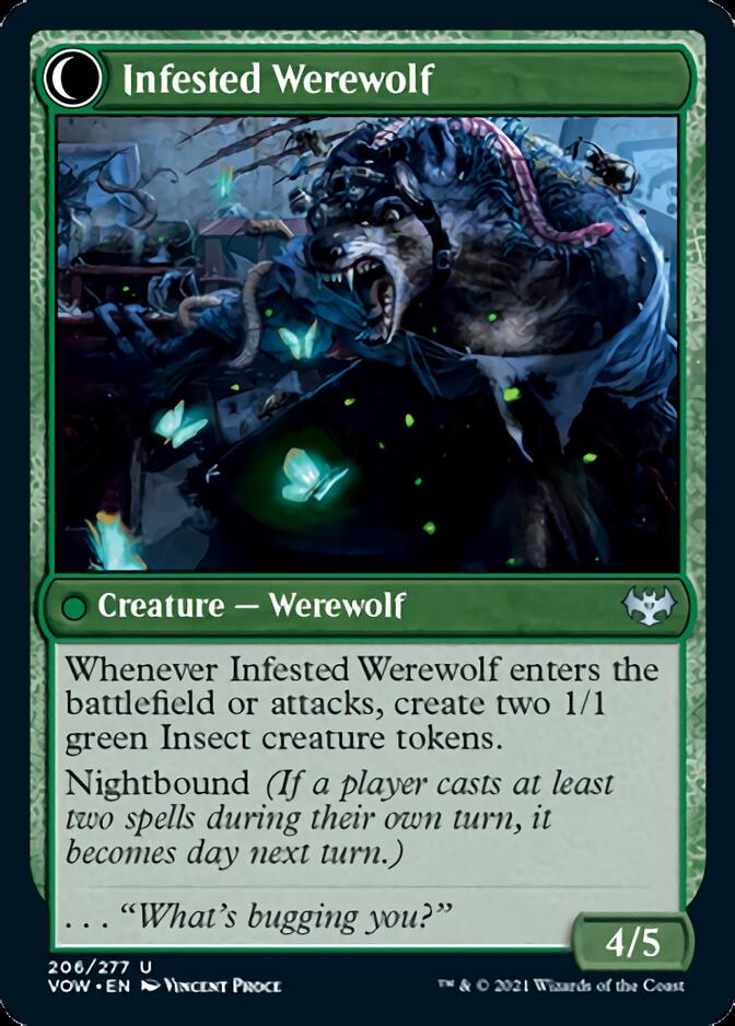 Infestation Expert // Infested Werewolf [Innistrad: Crimson Vow]