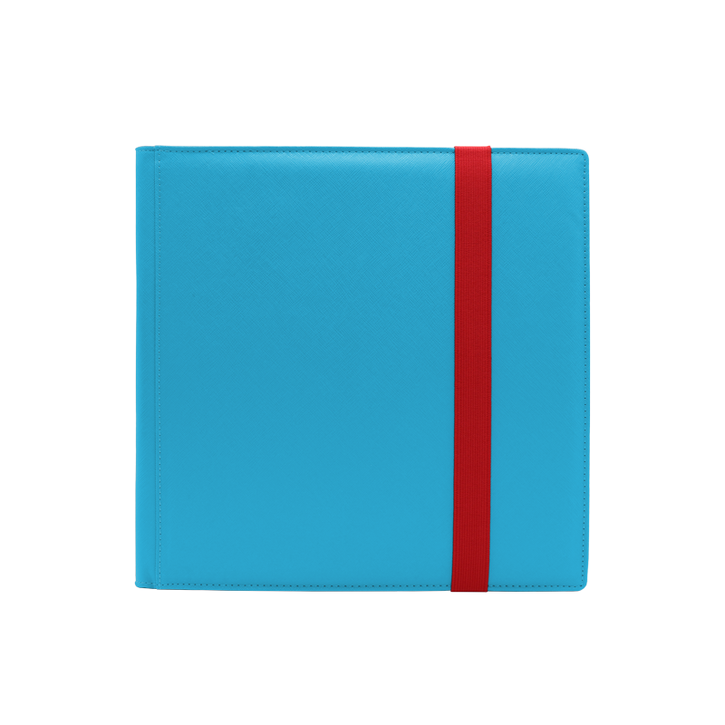 Dex Protection 12 Pocket Binder
