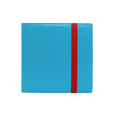 Dex Protection 12 Pocket Binder